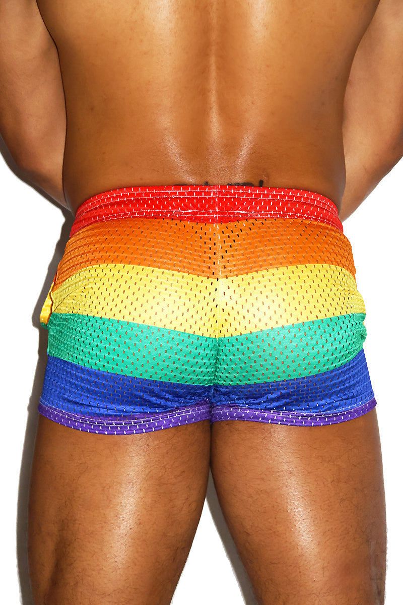 Blooms Rainbow Stripe Booty Shorts- Multi