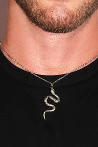 Snake Necklace - Silver