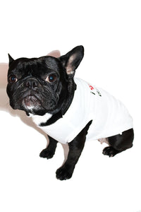I Love My 2 Daddies Dog Tee- White
