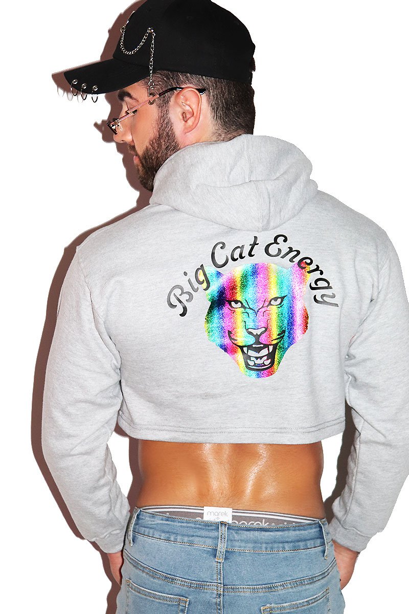 Big Cat Energy Long Sleeve Crop Hoodie- Grey