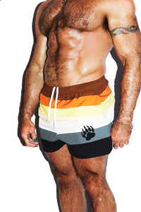 Bear Pride Flag All Over Active Shorts- Brown