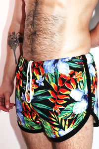 Bird of Paradise Running Shorts- Black