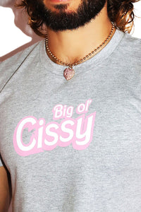 Big Cissy Crop Tee- Grey