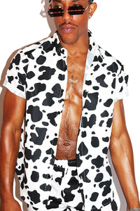 Cow Print Short Sleeve Shirt -White