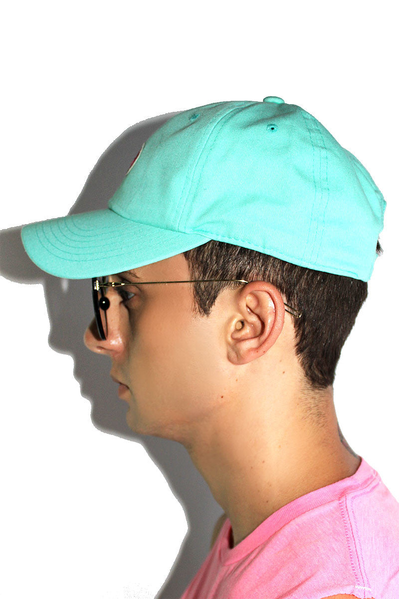 Donut Dad Hat- Teal