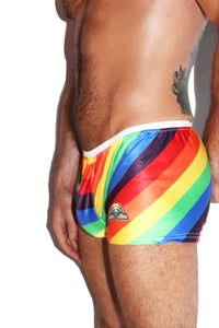 Gay Fun Shorty Shorts- Multi