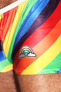 Gay Fun Shorty Shorts- Multi