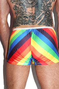 Gay Fun Shorty Shorts- Multi