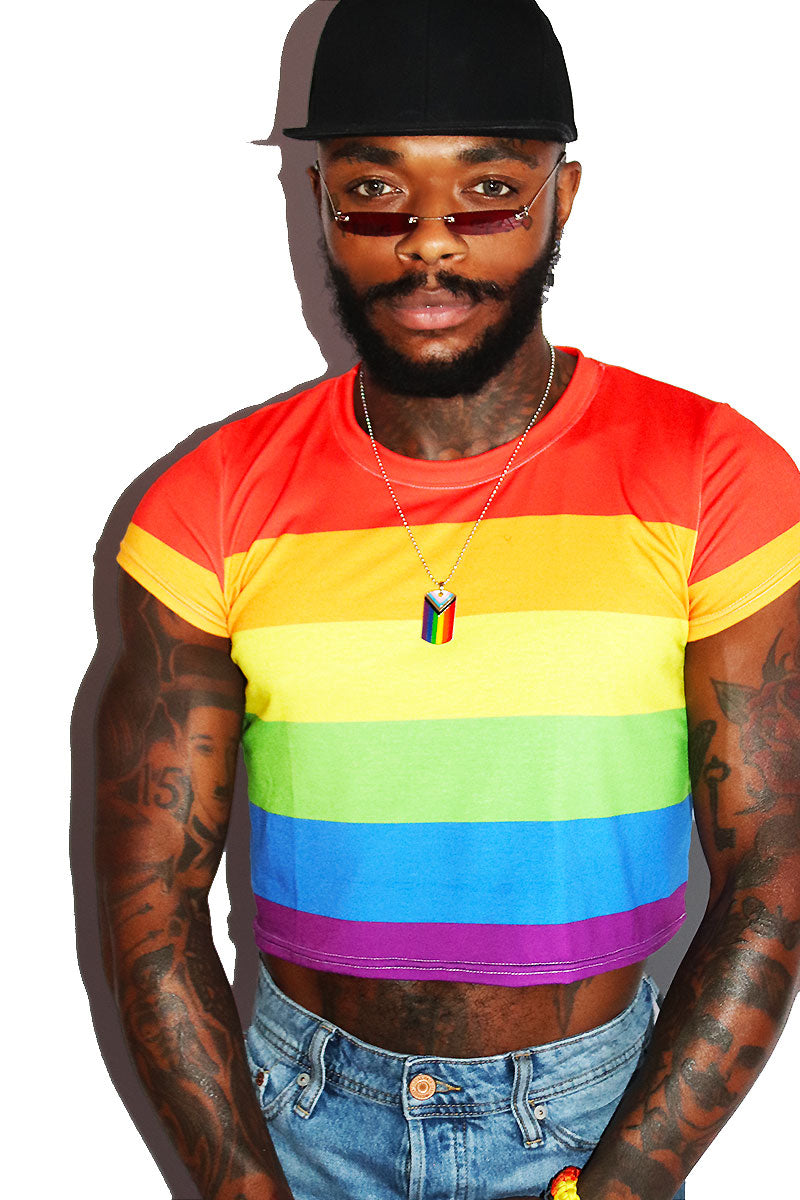 Rainbow Stripe All Over Fitted Crop Tee- Multi – Marek+Richard
