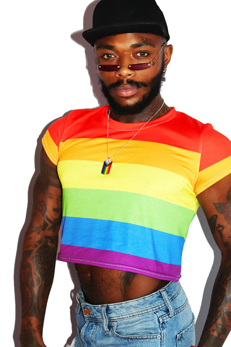 Rainbow Stripe All Over Fitted Crop Tee- Multi – Marek+Richard