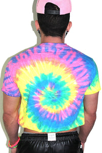 Gay Vibes Tie Dye Crop Tee- Multi