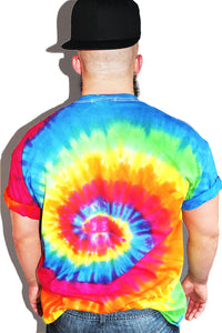 PLUS: Gay Vibes Tie Dye Tee- Multi