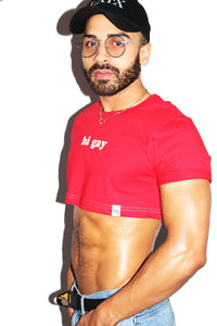 Hi Gay Extreme Crop Tee-Red
