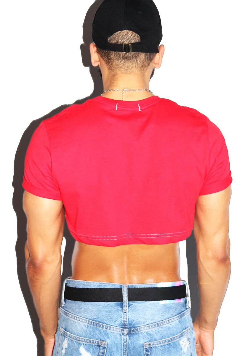 Hi Gay Extreme Crop Tee-Red