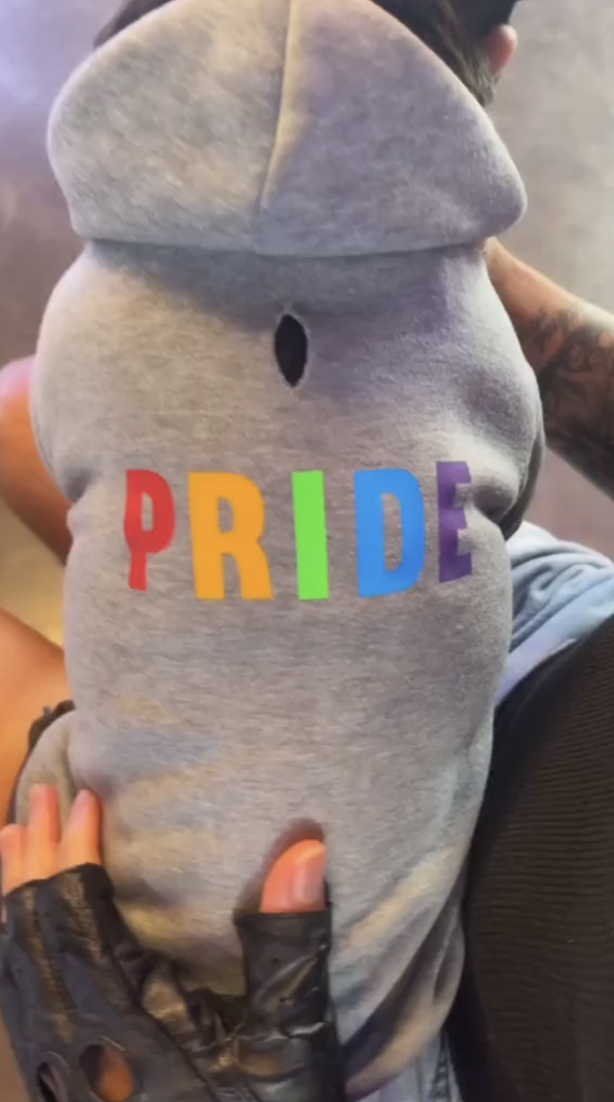 Pride Dog Hoodie - Grey