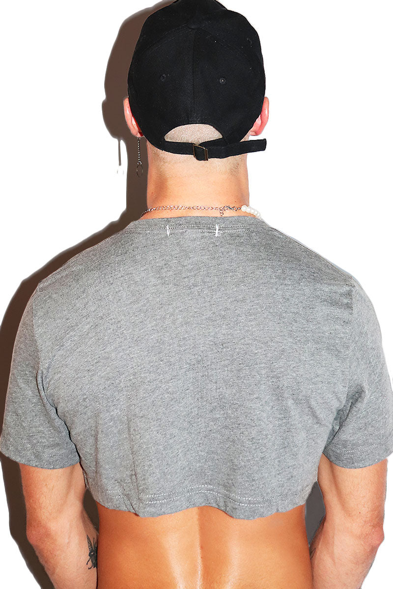 Gay Lingo Extreme Crop Tee-Light Charcoal