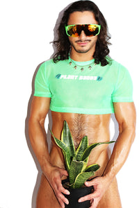 Plant Daddy Mesh Extreme Crop Tee- Green