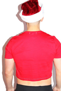 It's The Pole for Me Crop Tee- Red