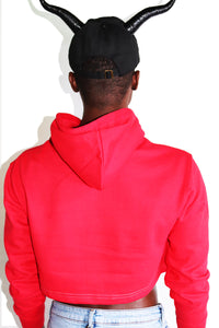 Satanic Slut Long Sleeve Crop Hoodie-Red