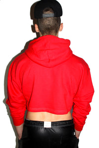 Shady Crop Long Sleeve Hoodie-Red