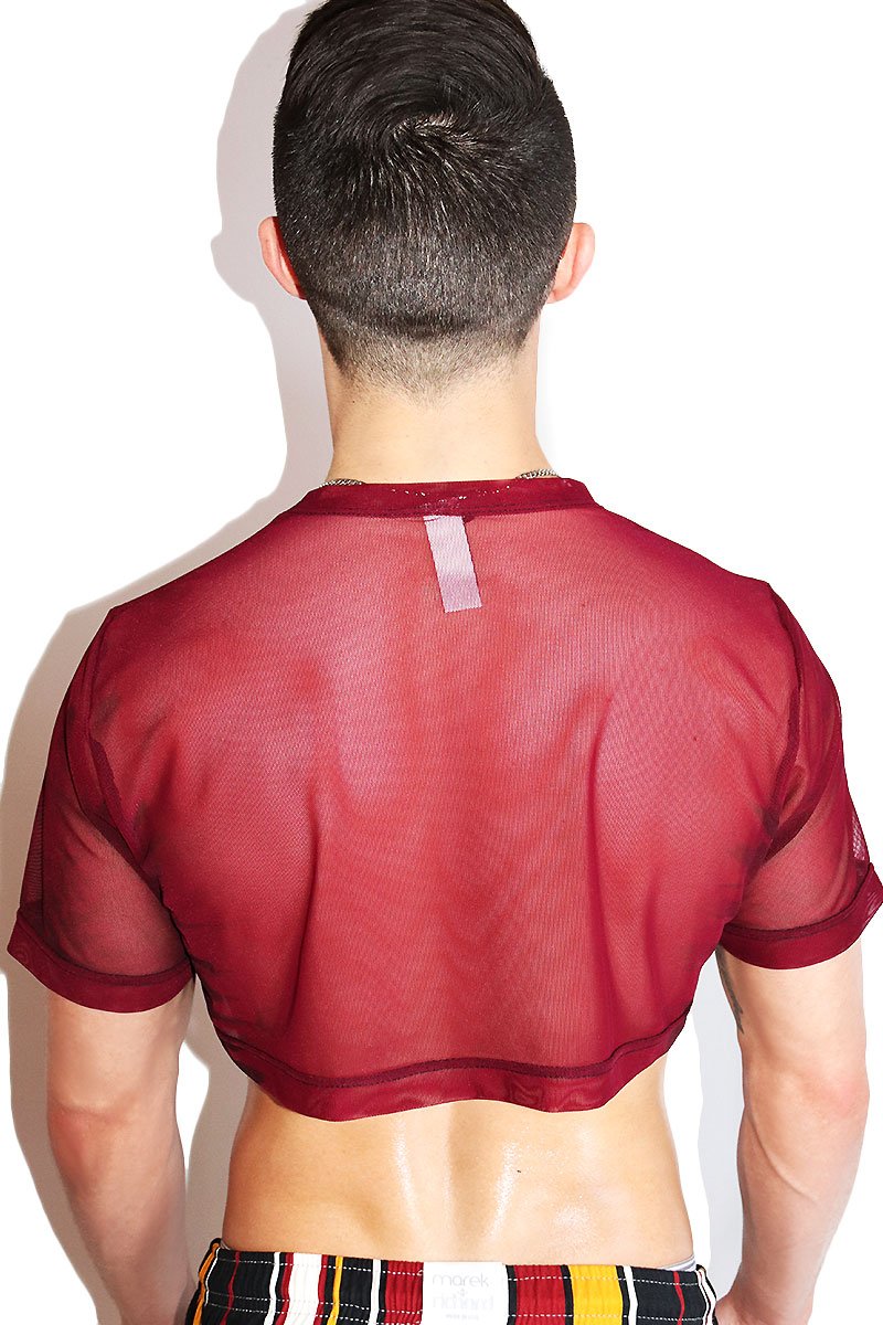 Slut Mesh Extreme Crop Tee- Burgundy