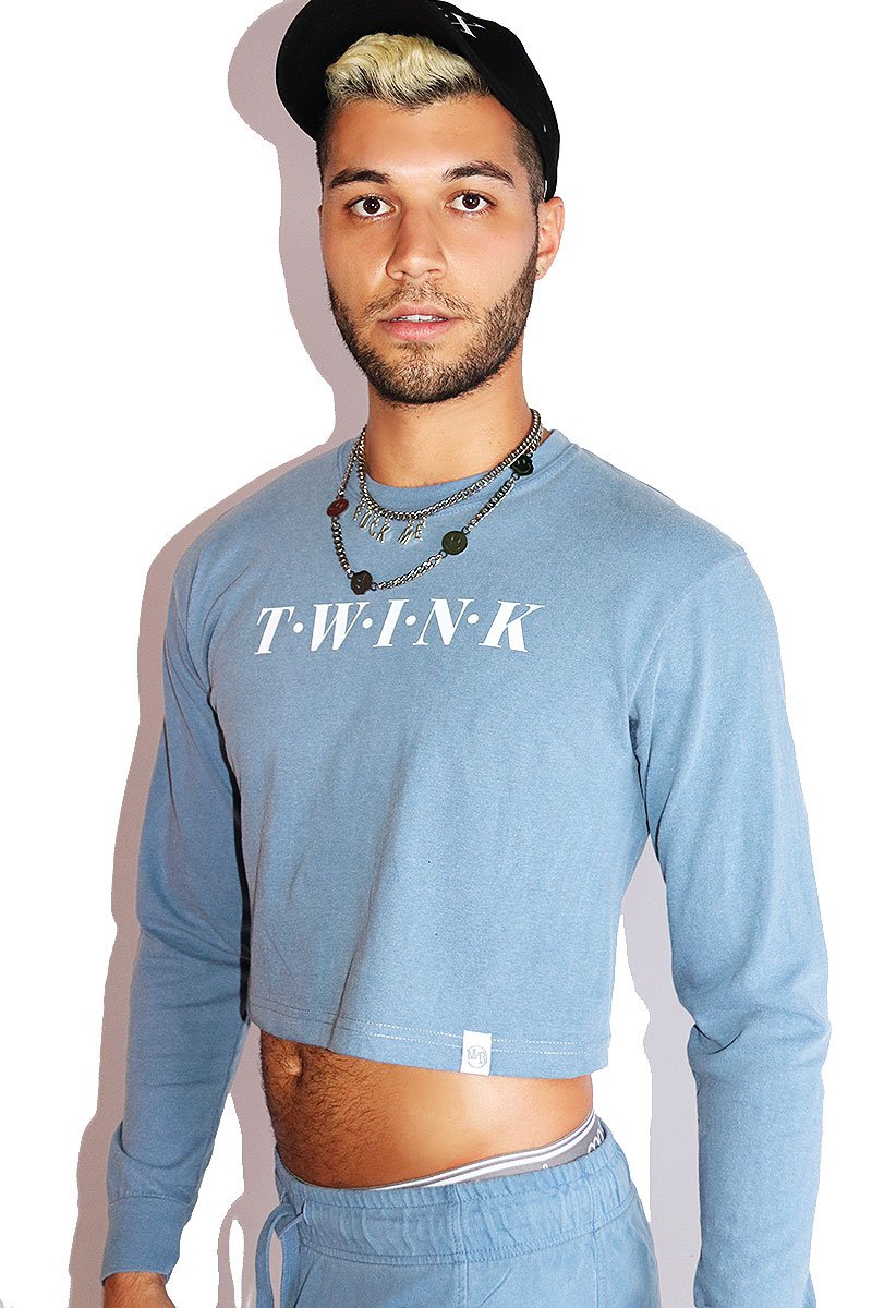 Twink Vintage Long Sleeve Crop Tee- Blue