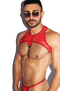 Hidden Desire Lace Tank Harness- Red