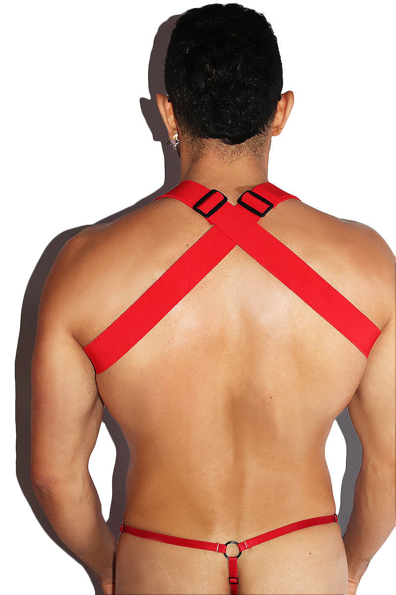 Hidden Desire Lace Tank Harness- Red