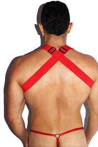 Hidden Desire Lace Tank Harness- Red