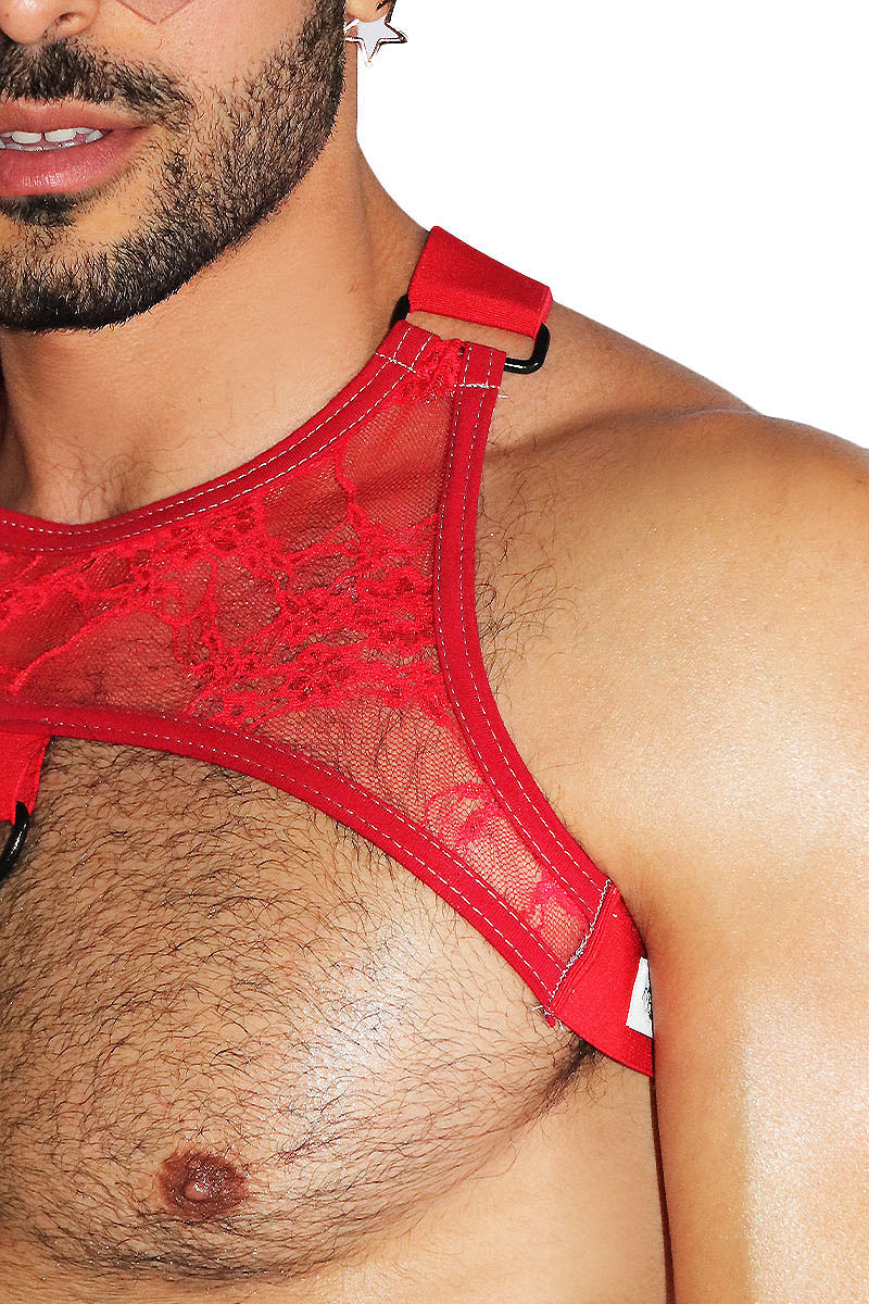 Hidden Desire Lace Tank Harness- Red