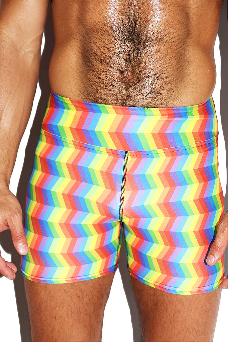 Optical Pride All Over Biker Shorts- Multi