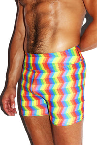 Optical Pride All Over Biker Shorts- Multi