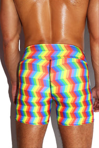 Optical Pride All Over Biker Shorts- Multi