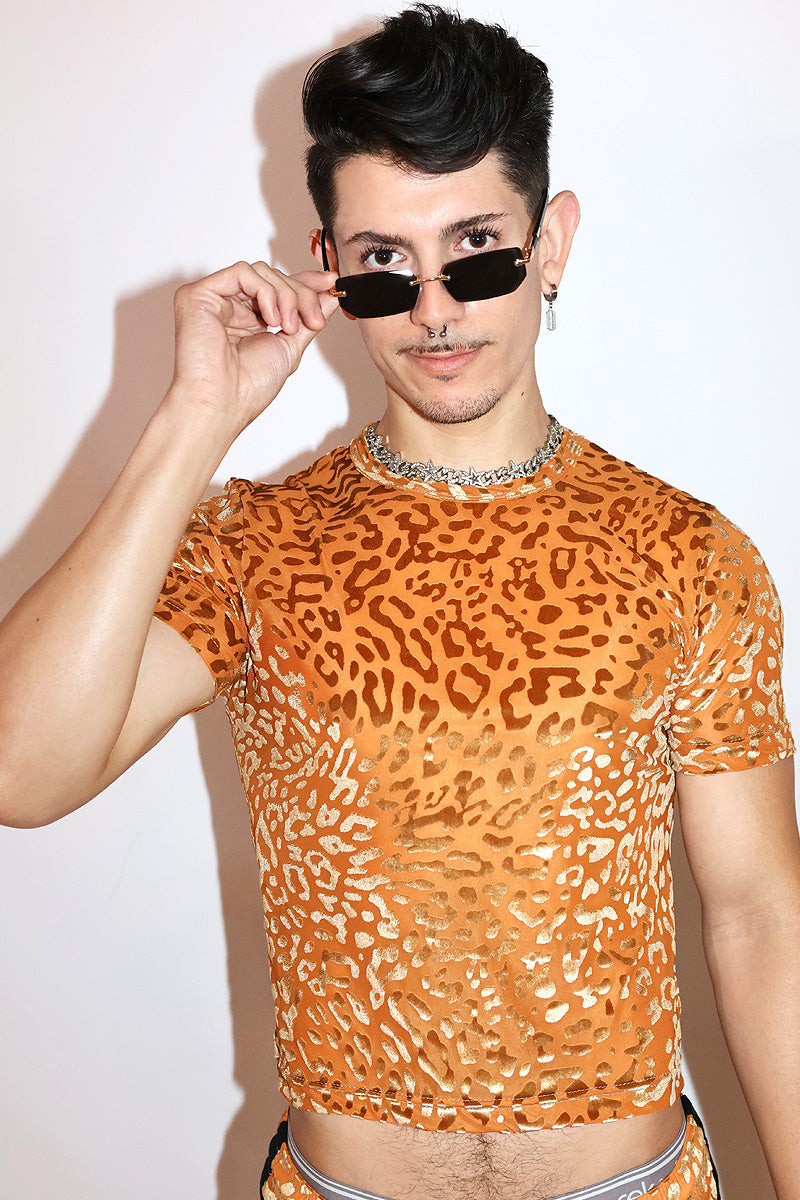 Sexy Feline Velvet Shorty Shorts- Orange