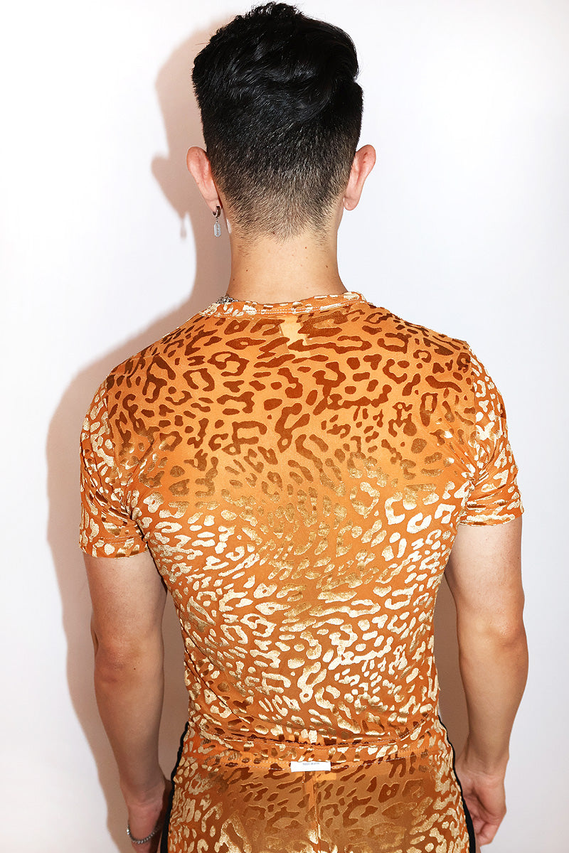 Sexy Feline Velvet Shorty Shorts- Orange
