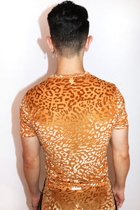 Sexy Feline Velvet Shorty Shorts- Orange