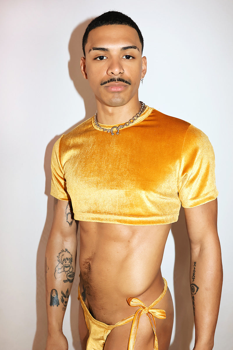 Velvet Extreme Crop Tee- Gold