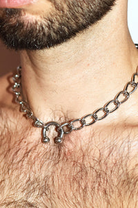 Prince Albert Necklace - Silver