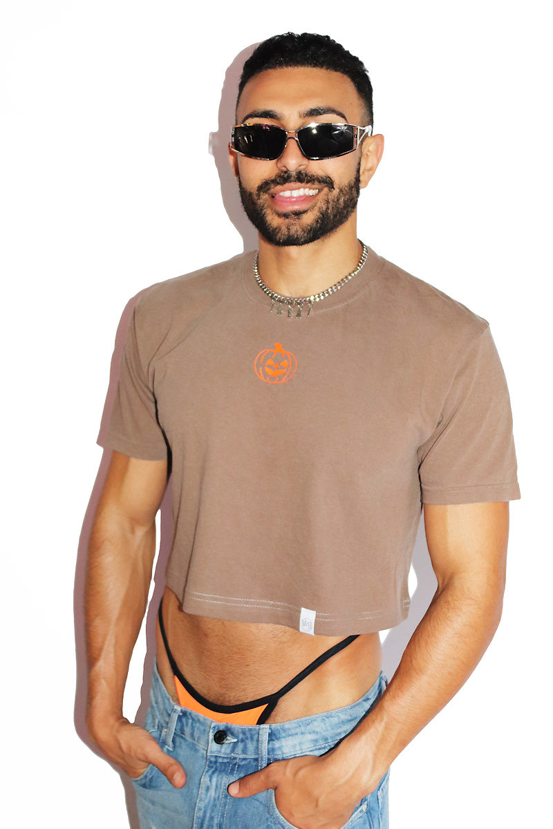 Autumn Pumpkin Oversized Box Crop Tee- Brown