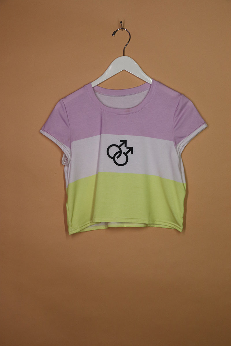 Sample#01703- Twink Flag Fitted Crop Tee-S