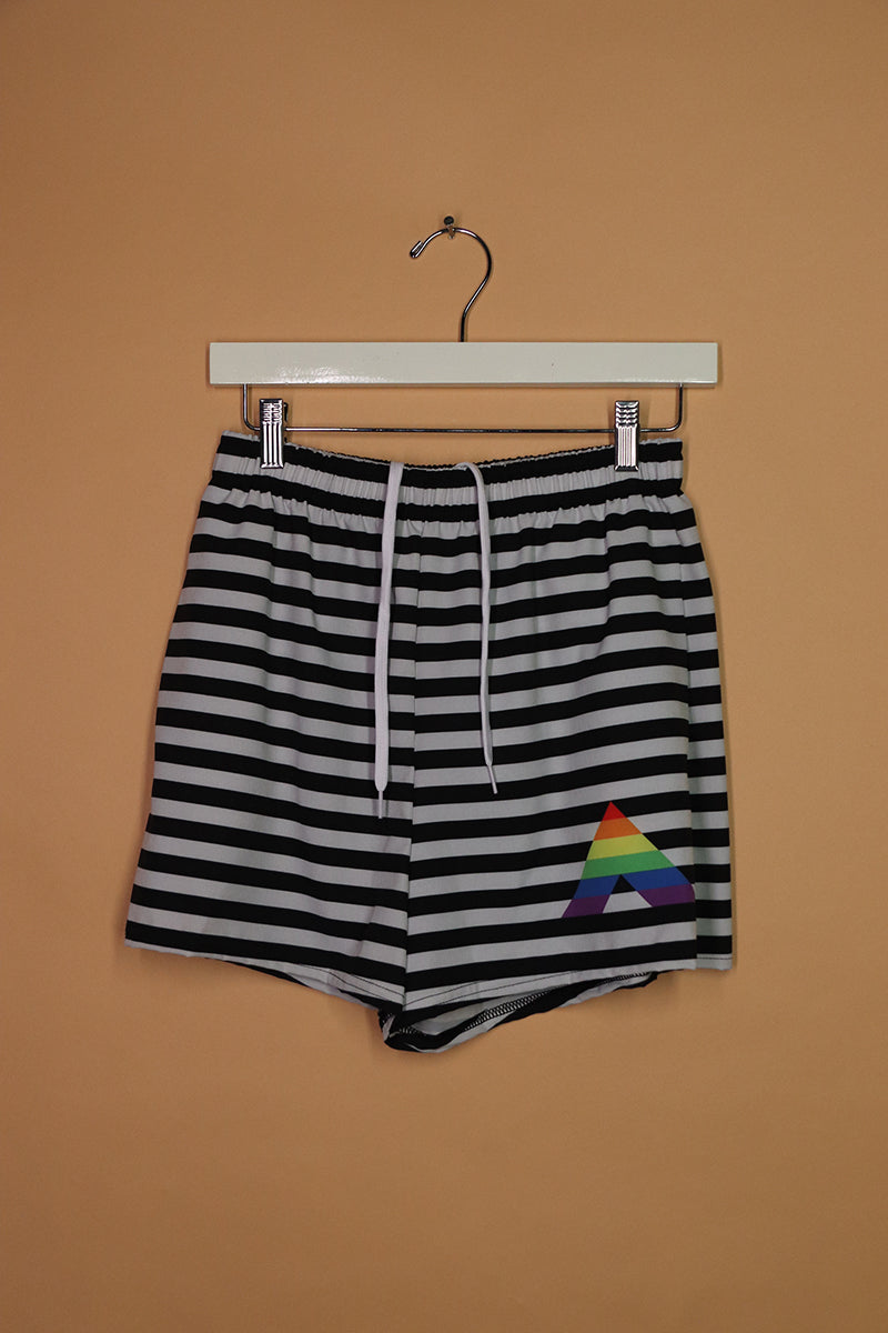 Sample#02171- Gay Ally Stripe Athletic Shorts-M