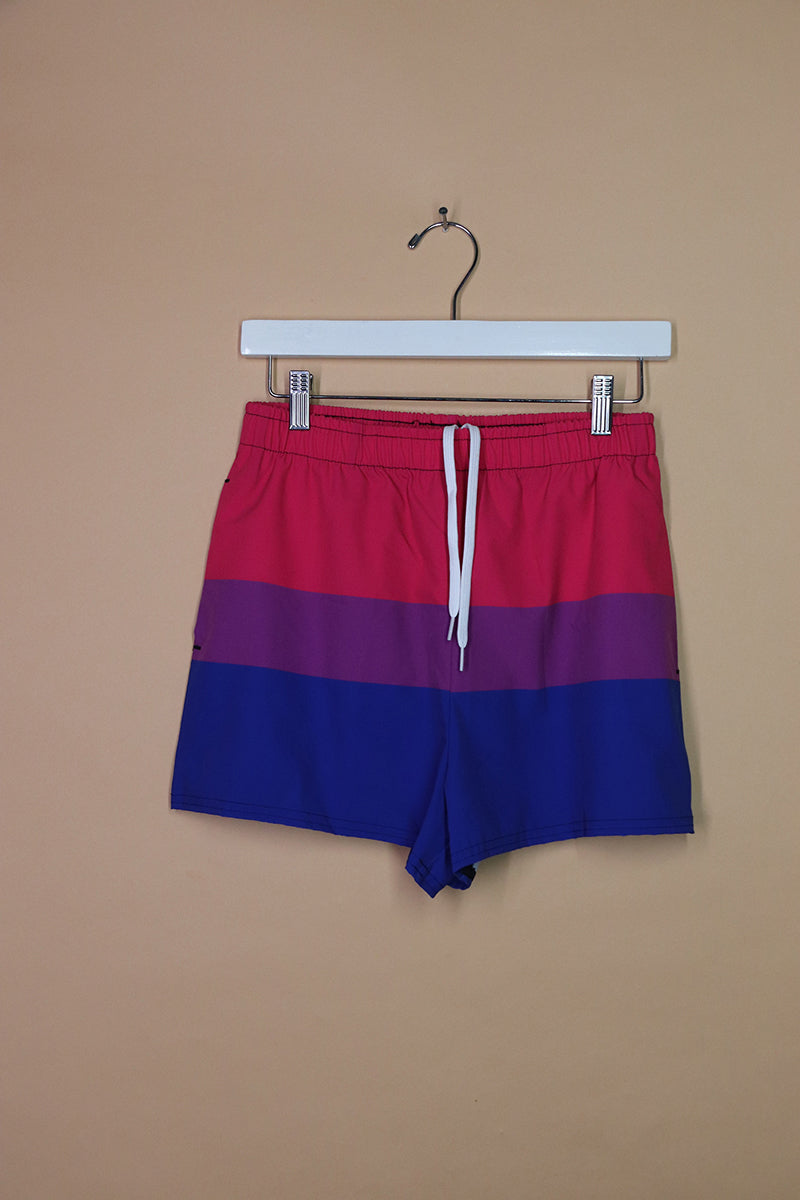 Sample#02285- Bisexual Stripe Flag Althetic Shorts-M