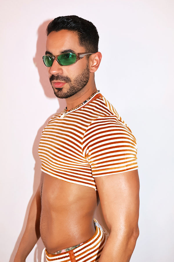 Velvet Ropes Stripe Extreme Crop Tee in Gold, view 2