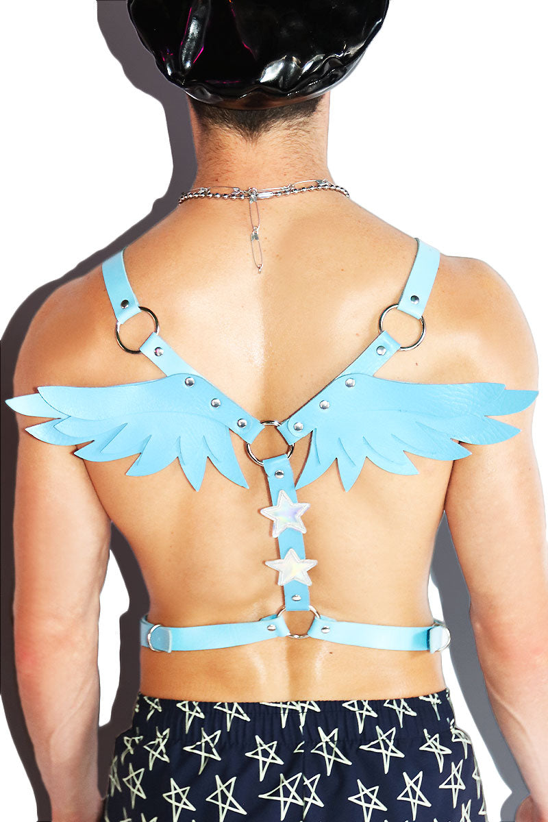 Star Boy Angel Wings Harness-Blue