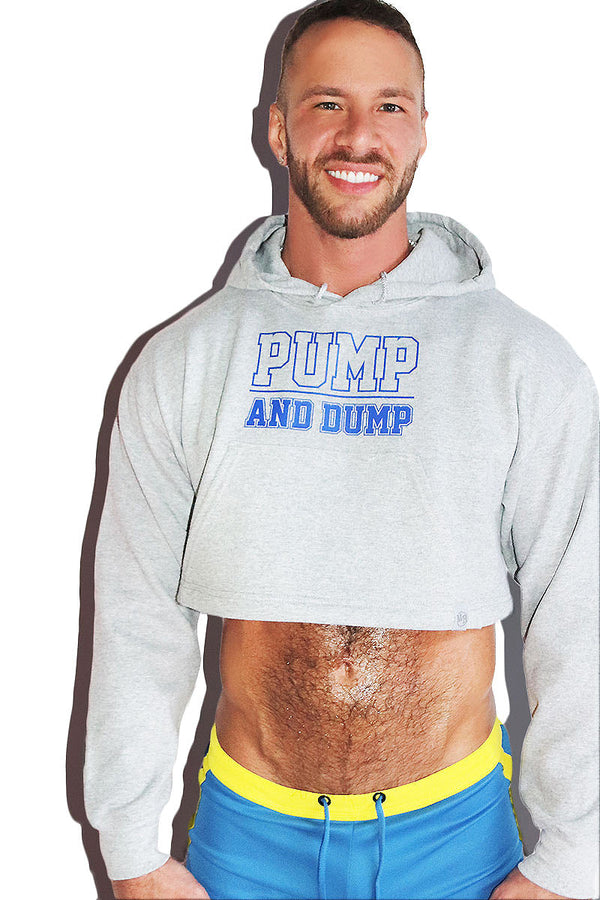 Pump And Dump Long Sleeve Crop Hoodie in Grey, view 2