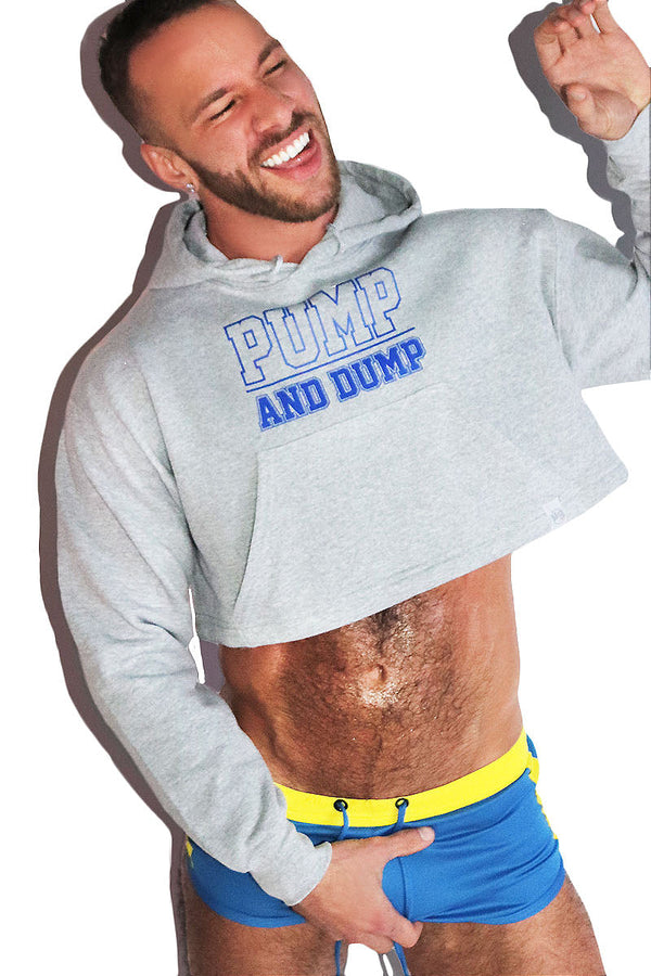 Pump And Dump Long Sleeve Crop Hoodie in Grey