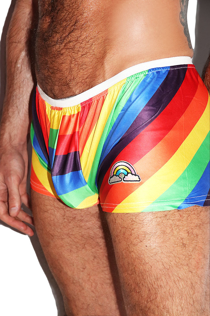 Gay Fun Shorty Shorts- Multi