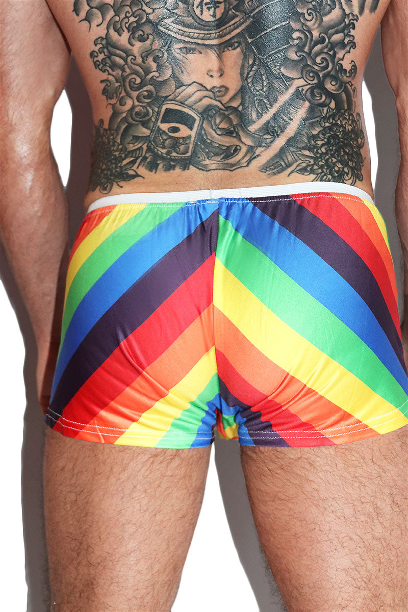 Gay Fun Shorty Shorts- Multi