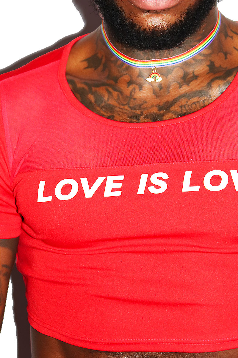 Love Is Love Mesh Fitted Crop Tee- Red