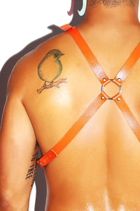 Gogo Body Harness-Orange